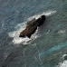 wreck_lignite_v_0004_pal1806.jpg